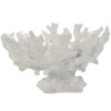 FIG CENTRO CORAL BLANCO 30S30S18