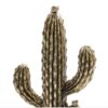 CACTUS 12X12X24