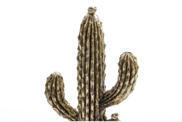 CACTUS 12X12X24