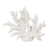 FIGURA CORAL BLANCO RESINA 34X13X27 CM