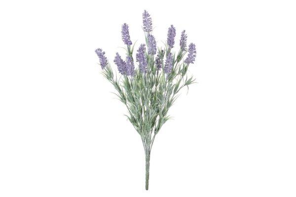 RAMA LAVANDA 25x25x50 CM