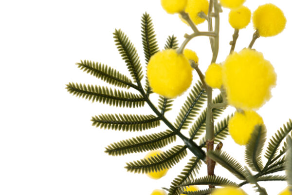 RAMA FLOR MIMOSA AMARILLO 25X25X75 CM