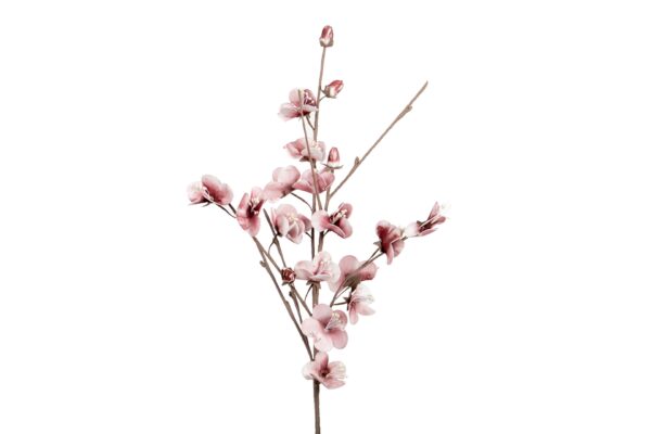 FLOR ROSA CON PISTILO