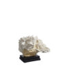 FIGURA CORAL BLANCO 30X23X24