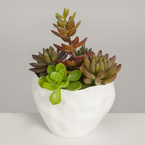 MACETA CON PLANTAS 21X15