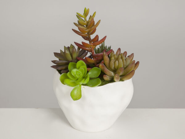 MACETA CON PLANTAS 21X15