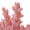 FIG. CORAL PORCELANA 24X9X21