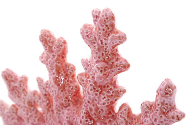 FIG. CORAL PORCELANA 24X9X21