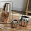 JARRON CACTUS CHAMPAN 30