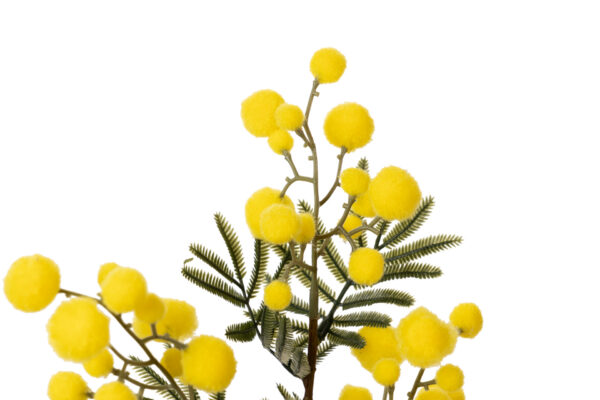 RAMA FLOR MIMOSA AMARILLO 25X25X75 CM