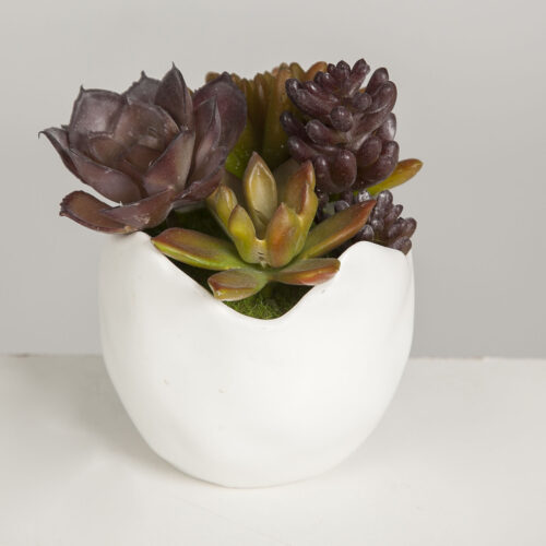 MACETA CON PLANTAS 15X10