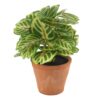 PLANTA HOJAS VERDES ARTIF. 22X22X22CM