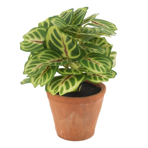 PLANTA HOJAS VERDES ARTIF. 22X22X22CM