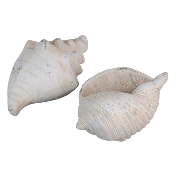 FIGURA CONCHA CREMA TERRACOTA 19X12x10