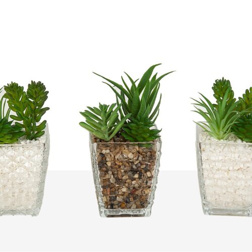 CUBREMACETA VIDRIO C/PLANTA 8X8X18