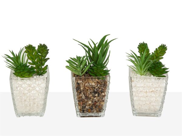 CUBREMACETA VIDRIO C/PLANTA 8X8X18