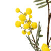 RAMA FLOR MIMOSA AMARILLO 25X25X75 CM