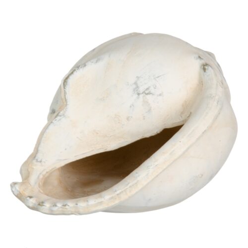 FIGURA CONCHA CREMA TERRACOTA 19X14X11