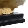 FIGURA CORAL BLANCO 30X23X24