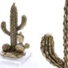 CACTUS 12X12X24