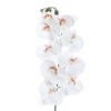 ORQUIDEA BLANCA