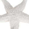 FIGURA ESTRELLA BLANCO RESINA 24X24X5 CM