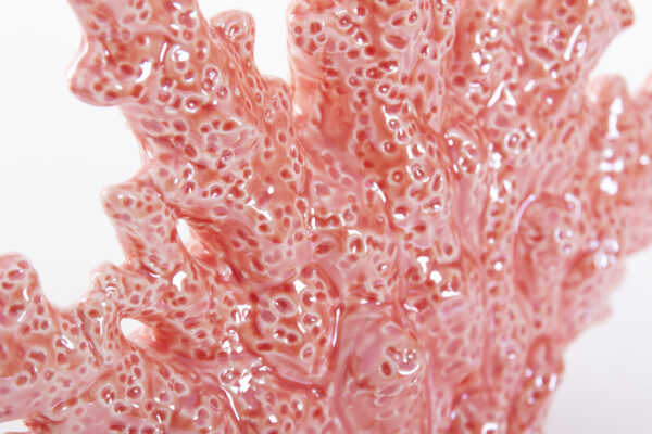 FIG. CORAL PORCELANA 24X9X21