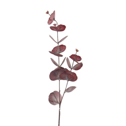 RAMA EUCALIPTO 14X14X77 CM