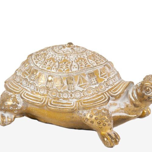 TORTUGA DORADA 25X17