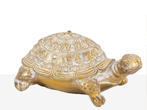 TORTUGA DORADA 25X17