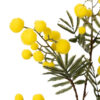 RAMA FLOR MIMOSA AMARILLO 25X25X75 CM