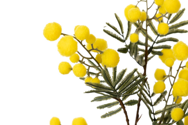 RAMA FLOR MIMOSA AMARILLO 25X25X75 CM