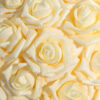 BOLA ROSAS CREMA 20