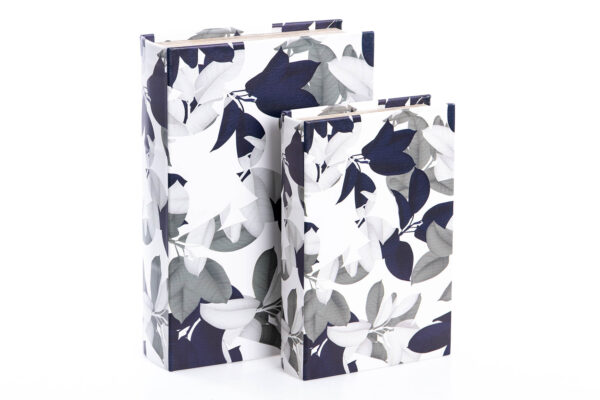 SET 2 CAJAS LIBROS HOJAS