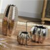 JARRON CACTUS CHAMPAN 19X15