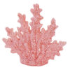 FIG. CORAL PORCELANA 24X9X21