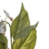 FLOR GLICINIA AÑIL PVC
