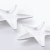 CENTRO ESTRELLA PORCELANA 24x20x5