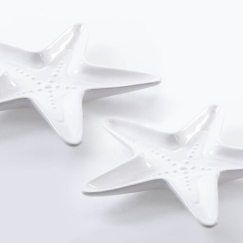 CENTRO ESTRELLA PORCELANA 24x20x5