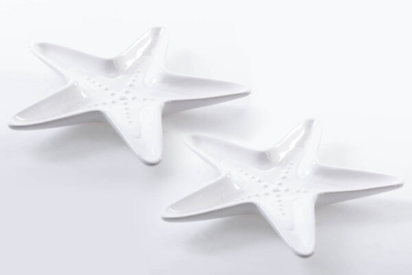 CENTRO ESTRELLA PORCELANA 24x20x5