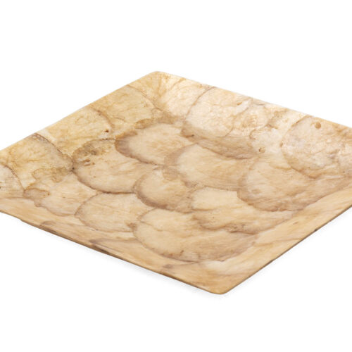 CENTRO CAPIZ 25x25x2 CM