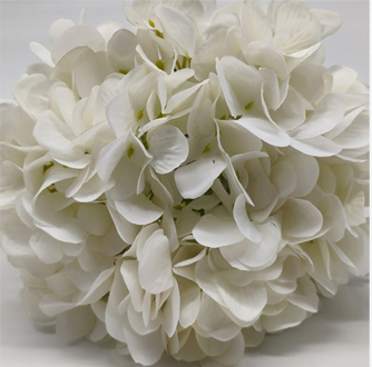 VARA HORTENSIA BLANCA 60 CMS.