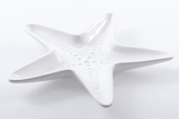 CENTRO ESTRELLA PORCELANA 24x20x5