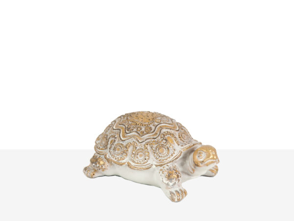 TORTUGA DORADA 13X8