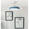 Ventilador Dc Moda 72w Blanco/azul 108d 3aspas 7200lm 3000k,4000k,6000k Remoto+memoria+temporizador