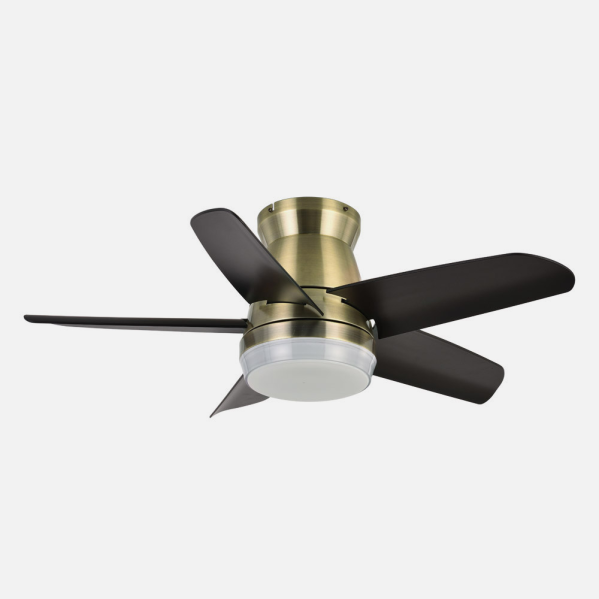 Ventilador Dc Neutron 24w 2400lm Cuero/negro 5aspas 91d 3000k,4500k,6000k, Remoto+temporizador+memoria
