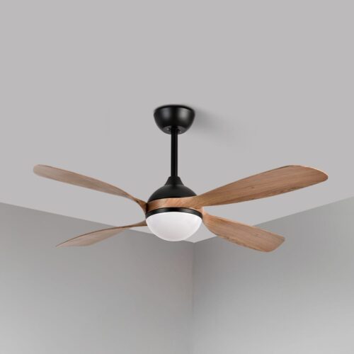 Iluminación - Ventiladores- Techo Aspas Normales